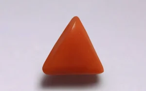 Red Coral - 2.69 Carats